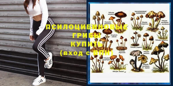 трава Зеленокумск