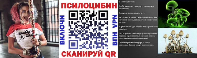 Купить закладки  Задонск  Псилоцибиновые грибы Magic Shrooms 