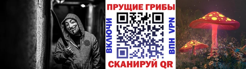 Галлюциногенные грибы прущие грибы Задонск